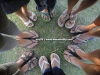 Oh.. our dirty feet. We're now in the lowland