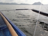 A day in the banca. Relaxing.